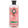 Load image into Gallery viewer, Herbal Essences Smooth Shampoo Rose Hips Vitamin E Jojoba, 13.5 fl oz