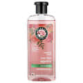 Herbal Essences Smooth Shampoo Rose Hips Vitamin E Jojoba, 13.5 fl oz
