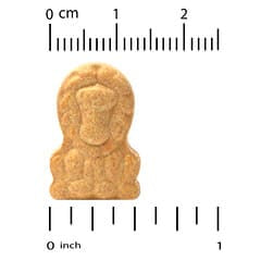 California Gold Nutrition Kids Zinc Plus Lozenges: Natural Tangerine Immune Support