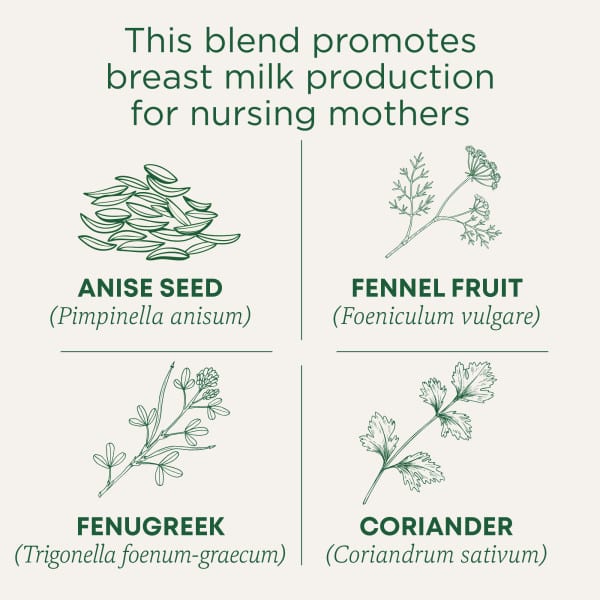 Organic Mother's Milk Lactation Tea with Fennel & Fenugreek, Caffeine-Free Herbal