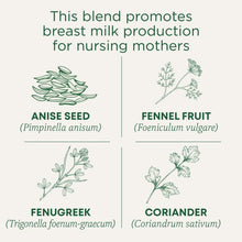 Load image into Gallery viewer, Organic Mother&#39;s Milk Lactation Tea with Fennel &amp; Fenugreek, Caffeine-Free Herbal
