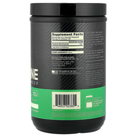 Optimum Nutrition Micronized Creatine Powder Unflavored for Muscle Growth & Strength