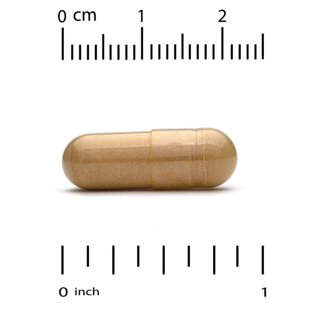 Organic Lion's Mane Mushroom Extract 90 PlantCaps by California Gold Nutrition