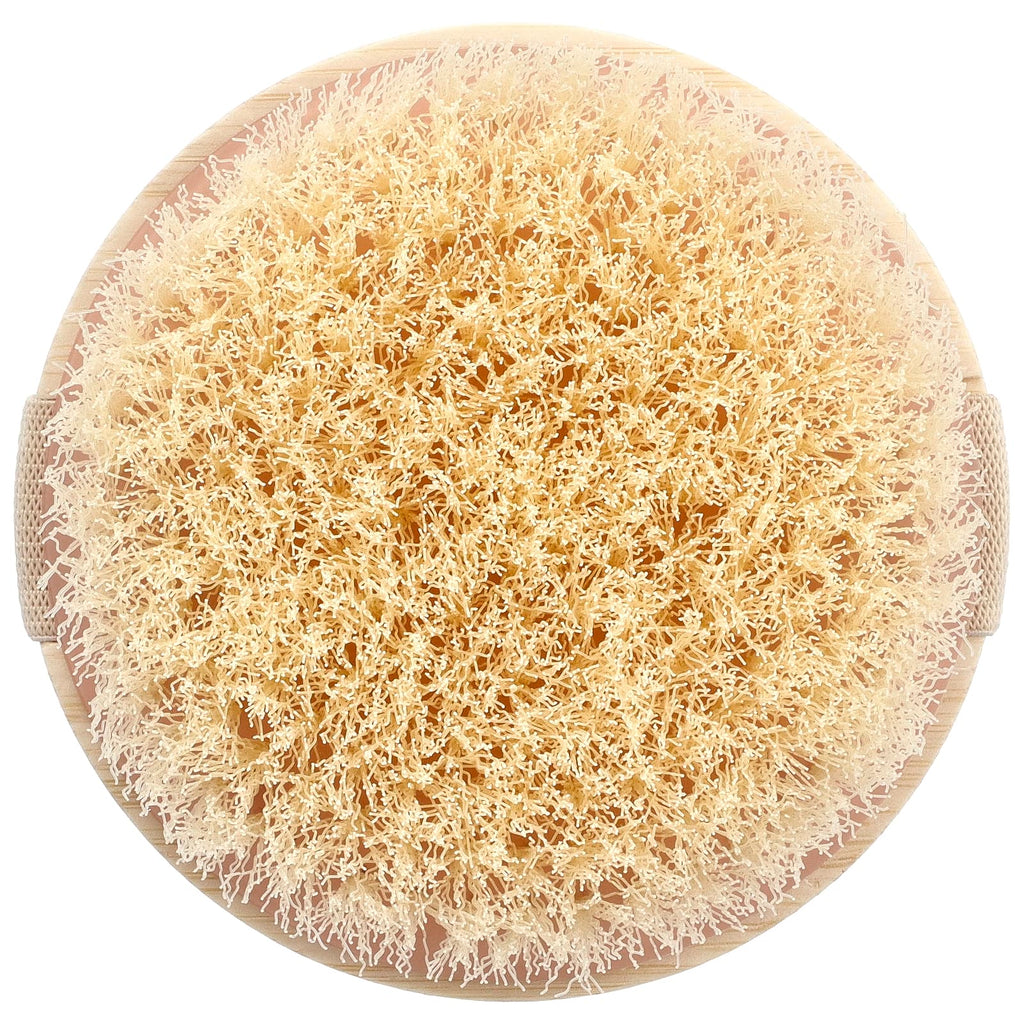 EcoTools Natural Bristle Dry Body Brush: Exfoliates, Smooths Skin, Enhances Circulation