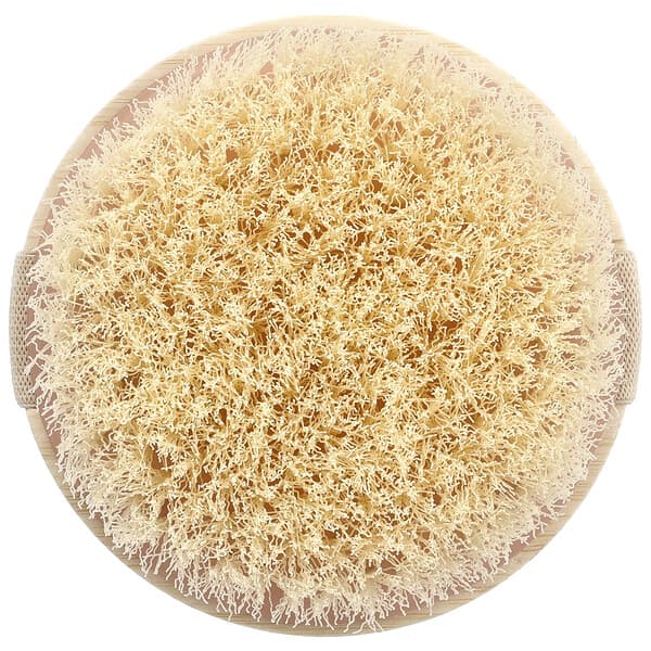 EcoTools Natural Bristle Dry Body Brush: Exfoliates, Smooths Skin, Enhances Circulation