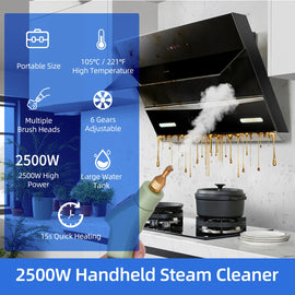 2500W Portable Handheld Steam Cleaner – High-Temperature Pressurized Cleaning Machine with Brush Heads